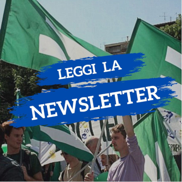 Newsletter del MFE