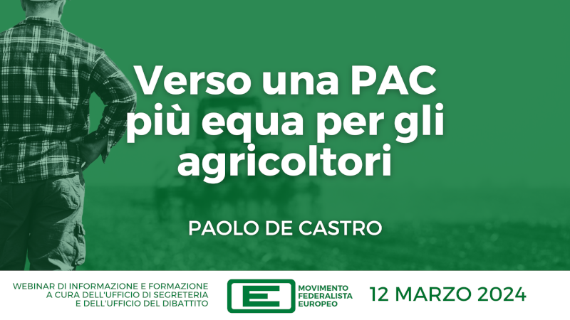 Webinar con Paolo De Castro